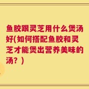 鱼胶跟灵芝用什么煲汤好(如何搭配鱼胶和灵芝才能煲出营养美味的汤？)