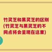 竹灵芝和黑灵芝的区别(竹灵芝与黑灵芝的不同点将会呈现在这里)