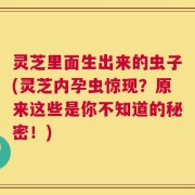 灵芝里面生出来的虫子(灵芝内孕虫惊现？原来这些是你不知道的秘密！)