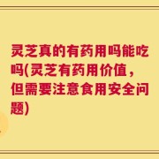 灵芝真的有药用吗能吃吗(灵芝有药用价值，但需要注意食用安全问题)