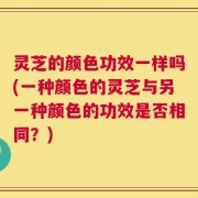 灵芝的颜色功效一样吗(一种颜色的灵芝与另一种颜色的功效是否相同？)