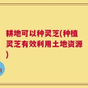 耕地可以种灵芝(种植灵芝有效利用土地资源)