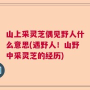 山上采灵芝偶见野人什么意思(遇野人！山野中采灵芝的经历)