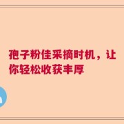 孢子粉佳采摘时机，让你轻松收获丰厚