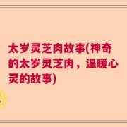 太岁灵芝肉故事(神奇的太岁灵芝肉，温暖心灵的故事)