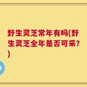 野生灵芝常年有吗(野生灵芝全年是否可采？)