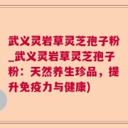 武义灵岩草灵芝孢子粉_武义灵岩草灵芝孢子粉：天然养生珍品，提升免疫力与健康)