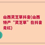 山西灵芝草抖音(山西特产“灵芝草”在抖音走红)