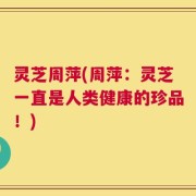 灵芝周萍(周萍：灵芝一直是人类健康的珍品！)