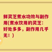 鲜灵芝煮水功效与副作用(煮水饮用的灵芝：好处多多，副作用几乎无！)