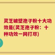灵芝破壁孢子粉十大功效是(灵芝孢子粉：十种功效一网打尽)