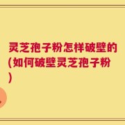 灵芝孢子粉怎样破壁的(如何破壁灵芝孢子粉)