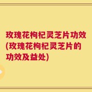 玫瑰花枸杞灵芝片功效(玫瑰花枸杞灵芝片的功效及益处)