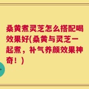 桑黄煮灵芝怎么搭配喝效果好(桑黄与灵芝一起煮，补气养颜效果神奇！)