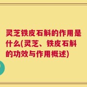灵芝铁皮石斛的作用是什么(灵芝、铁皮石斛的功效与作用概述)