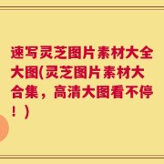 速写灵芝图片素材大全大图(灵芝图片素材大合集，高清大图看不停！)