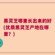 黑灵芝哪里长出来的好(优质黑灵芝产地在哪里？)