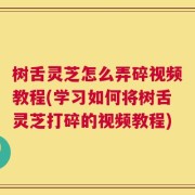树舌灵芝怎么弄碎视频教程(学习如何将树舌灵芝打碎的视频教程)