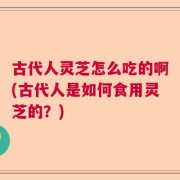 古代人灵芝怎么吃的啊(古代人是如何食用灵芝的？)
