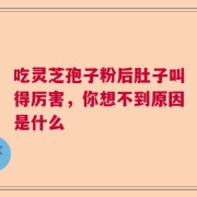 吃灵芝孢子粉后肚子叫得厉害，你想不到原因是什么