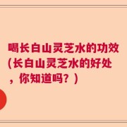 喝长白山灵芝水的功效(长白山灵芝水的好处，你知道吗？)