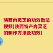 陕西肉灵芝的功效做法视频(陕西特产肉灵芝的制作方法及功效)