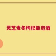 灵芝麦冬枸杞能泡酒