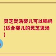 灵芝煲汤婴儿可以喝吗(适合婴儿的灵芝煲汤)