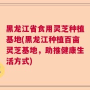 黑龙江省食用灵芝种植基地(黑龙江种植百亩灵芝基地,助推健康生活方式)