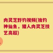 肉灵芝野钓视频(独钓神仙鱼，猎人肉灵芝技艺高超)
