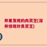 井里发现的肉灵芝(深井惊现珍贵灵芝)