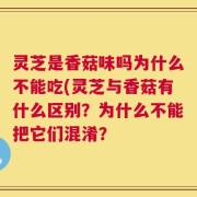 灵芝是香菇味吗为什么不能吃(灵芝与香菇有什么区别？为什么不能把它们混淆？