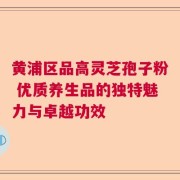 黄浦区品高灵芝孢子粉 优质养生品的独特魅力与卓越功效