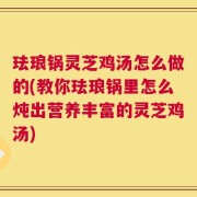 珐琅锅灵芝鸡汤怎么做的(教你珐琅锅里怎么炖出营养丰富的灵芝鸡汤)