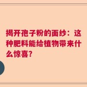 揭开孢子粉的面纱：这种肥料能给植物带来什么惊喜？