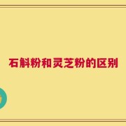 石斛粉和灵芝粉的区别