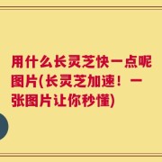 用什么长灵芝快一点呢图片(长灵芝加速！一张图片让你秒懂)