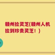 赣州捡灵芝(赣州人机捡到珍贵灵芝！)