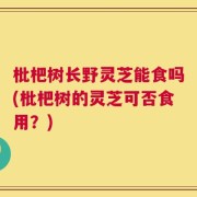 枇杷树长野灵芝能食吗(枇杷树的灵芝可否食用？)