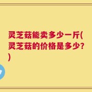 灵芝菇能卖多少一斤(灵芝菇的价格是多少？)