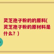 灵芝孢子粉的的原料(灵芝孢子粉的原材料是什么？)