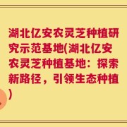 湖北亿安农灵芝种植研究示范基地(湖北亿安农灵芝种植基地：探索新路径，引领生态种植)
