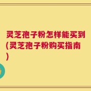 灵芝孢子粉怎样能买到(灵芝孢子粉购买指南)