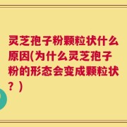 灵芝孢子粉颗粒状什么原因(为什么灵芝孢子粉的形态会变成颗粒状？)