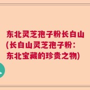 东北灵芝孢子粉长白山(长白山灵芝孢子粉：东北宝藏的珍贵之物)