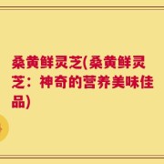桑黄鲜灵芝(桑黄鲜灵芝：神奇的营养美味佳品)