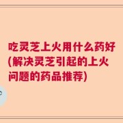 吃灵芝上火用什么药好(解决灵芝引起的上火问题的药品推荐)