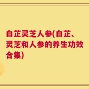 白芷灵芝人参(白芷、灵芝和人参的养生功效合集)