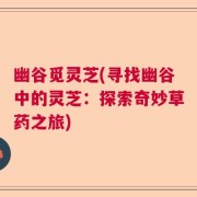 幽谷觅灵芝(寻找幽谷中的灵芝：探索奇妙草药之旅)