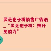 灵芝孢子粉销售广告语_“灵芝孢子粉：提升免疫力”
